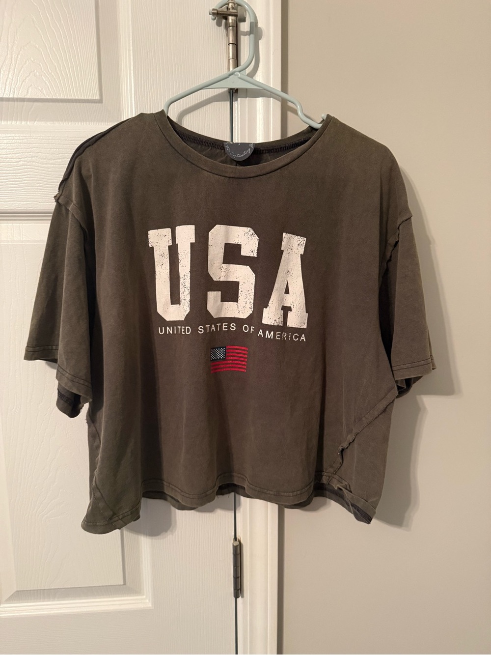 USA Graphic Cropped Tee